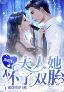 After the Divorce, My Wife Became Pregnant with Twins