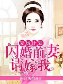 Remarriage Plan: My Ex-wife Asked Me to Marry Her after a Flash Marriage