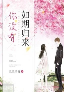 You Didn't Come Back as Scheduled