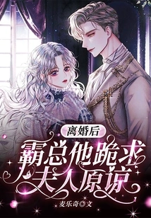 After the Divorce, the Boss Begged His Wife to Forgive Him