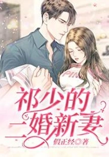 Mr. Qi's Second Wife