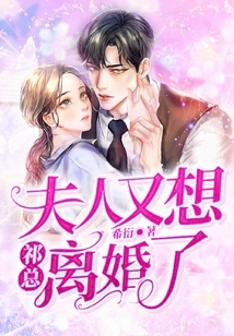 Mr. Qi, My Wife Wants a Divorce Again