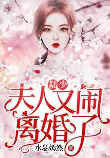 Mr. Lu, My Wife is Getting Divorced Again