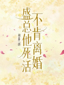 Mr. Sheng Refuses to Divorce