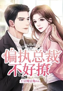 The Paranoid Ceo is Not Easy to Flirt With