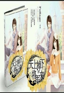 A General Falls from the Sky