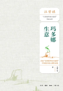 Madonna's Business: a Collection of Short Stories and Short Stories for the First "wang Zengqi Chinese Novel Award