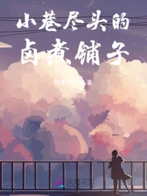 Braised Pork Shop at the End of the Alley