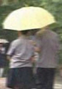 Don't Despise My Love