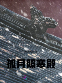 The Lonely Moon Shines on the Cold Palace