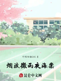 Begonia on a Misty Rainy Night