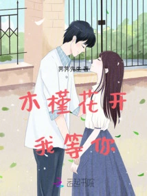 The Hibiscus Blooms and I Wait for You