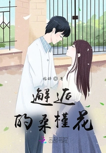 Encountering Mulberry Flowers