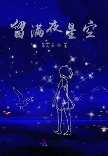 Leave the Night Sky Full of Stars