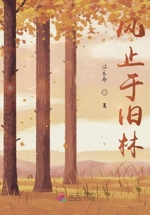 The Wind Stops in the Old Forest