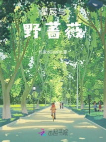 Stars and Wild Roses