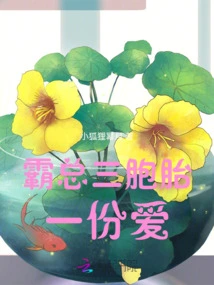 Boss Triplets: a Love