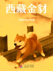 Tibetan Golden Jackal