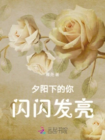 You Shine Brightly in the Sunset