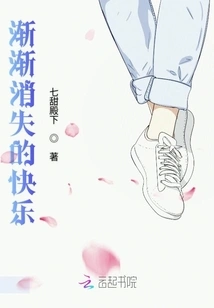 The Joy That Gradually Disappears