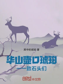 Huashan Hukou Amber: to the Stones