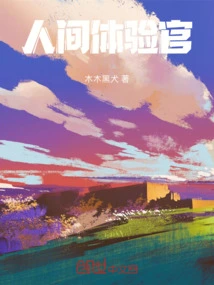 Human Experience Officer