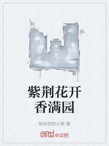 Bauhinia Flowers Bloom in the Garden