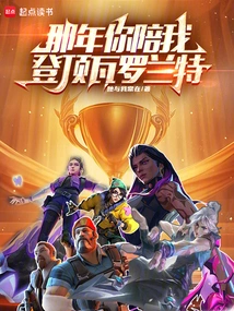 That Year You Accompanied Me to the Summit of Valorante