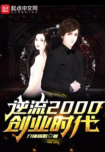 Countercurrent 2000 Entrepreneurship Era