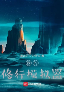 My Practice Simulator