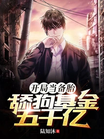 Use it as a Backup Tire at the Beginning, with a Dog-licking Fund of 500 Billion