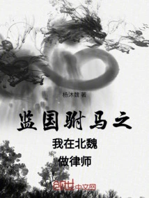 I Was a Lawyer in the Northern Wei Dynasty