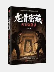 Dragon Bone Secret: Tianbao Tomb Robbery Record