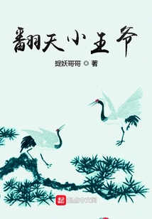 The Desperate Little Prince