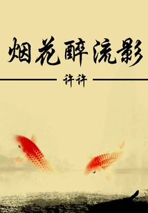 Fireworks Drunken Shadows