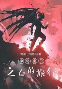 Pokémon White's Journey