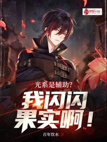 Is the Light System an Auxiliary? My Sparkling Fruit!