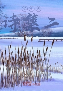 Rabbit Seven Fire Poetry Collection 2