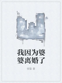 I Got Divorced Because of My Mother-in-law