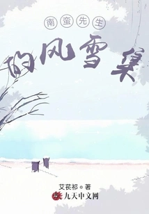 Mr. Nanman's Snowstorm Collection