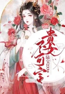 The Reborn Noble Lady is Indescribable