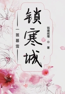 A Coir Raincoat Locks the Cold City in Dusk Snow