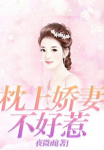 My Wife on My Pillow is Not Easy to Mess With