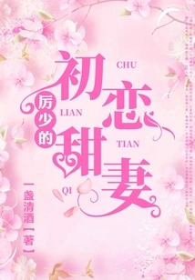 Mr. Li's First Love, Sweet Wife