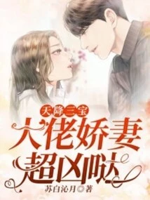 Three Treasures Descended from Heaven: the Boss's Lovely Wife is so Fierce