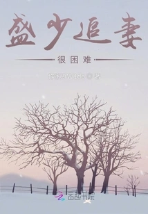 It is Difficult for Mr. Sheng to Pursue His Wife