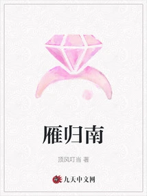 Wild Goose Returns to the South