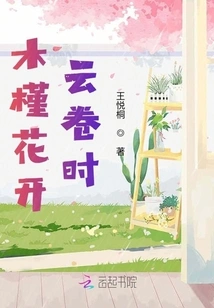 When the Hibiscus Blooms and the Clouds Roll In