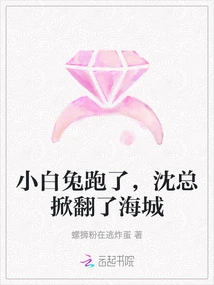 The Little White Rabbit Ran Away, and Mr. Shen Overthrew Haicheng