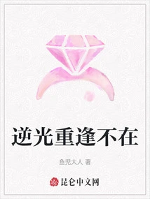 Reunion Against the Light is Not Here